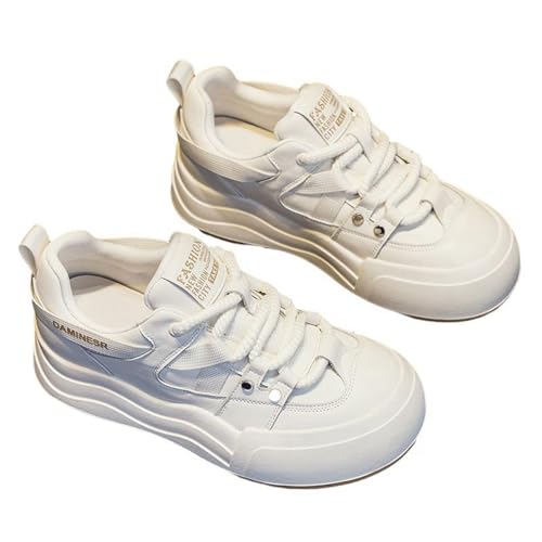 [Taopagii] EB^[u[c  AN ҂ݏグ fB[X ~pu[c hC {A h ۉ h CΉ ~ ϋv AEghAV[Y nCJbg H~ l  JWA L x[W-[JbgNі