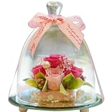 IPFA プリザーブドフラワー ガラスドーム エレガンス(母の日モデル/ベビーピンクリボン)母の日 誕生日 プレゼント ギフト 人気 花 バラ お祝い フラワーギフト 記念日