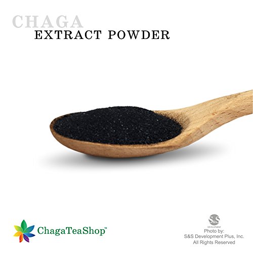 Siberian Chaga Mushroom Extract Powder 4 Oz. (113G.) #TOP2