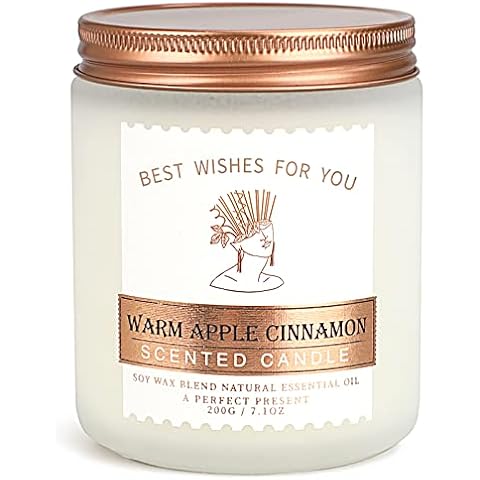 Scented Candle Aromatherapy Jar Candle Apple & Cinnamon 7.5 Oz Natural Soy Wax for Her Christmas Festival Home Fragrance Relaxing Candle for Women Gift for Mom Friends Colleagues Burn up to 45 Hours Cover