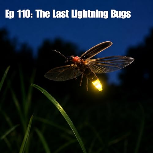 Ep 110: The Last Lightning Bugs