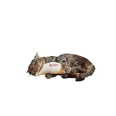 猫が餃子を抱えてキック！？思わず写真を撮りたくなる『けり餃子』
