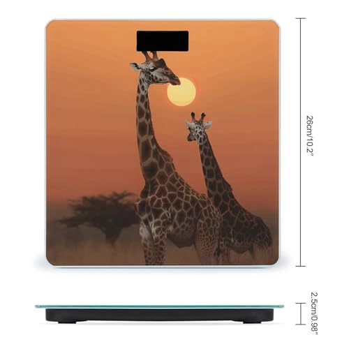 Báscula digital para baño con vidrio templado 400lb miniatura 2