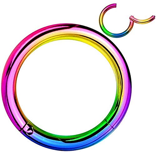 14G 16G Hinged Wildklass Seamless Clicker Ring 316L Surgical Steel (14G 8Mm Rainbow) #TOP2