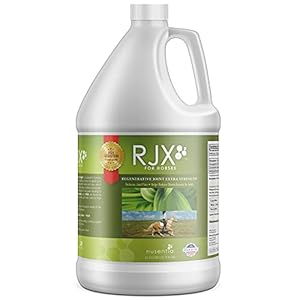 Horse Joint Supplement – New Larger Size (1 GAL) – Equine Glucosamine Chondroitin & MSM for Natural Pain and Inflammation Support – RJX for Horses (128 fl oz – up to 256 Servings)