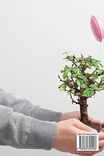 Bonsai for Beginners: Guide to Learn How To Grow and Take Care of a Bonsai Tree