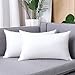 JIEITIVE Throw Pillow Inserts Hypoallergenic Premium Pillow Stuffer Rectangle Lumbar Pillow for Decorative Pillow Covers Cushion Set of 1-12 x 20 Inches