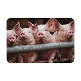 YWSOTRE Schwein,Bodenmatte Kieselgurmatte saugfähig rutschfest Badvorleger 40X60cm