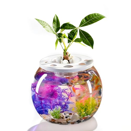 �f�X�N�g�b�v��Aquaponic�H��␅���و�t�^���N�`���w�����A�����k�͔|�����ӂ��ƒ��q�����f�X�N�g�b�v�����y�b�g�ޗ� (Style B)