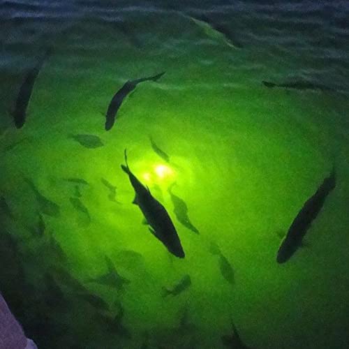 Lostcat 18W Dc 12V Green Ip68 Waterproof Aluminum Super Bright Led Fish Bait Submersible Dock Underwater Fishing Light Attractants For At Night Snook Crappie With Battery Clamps thumb #6