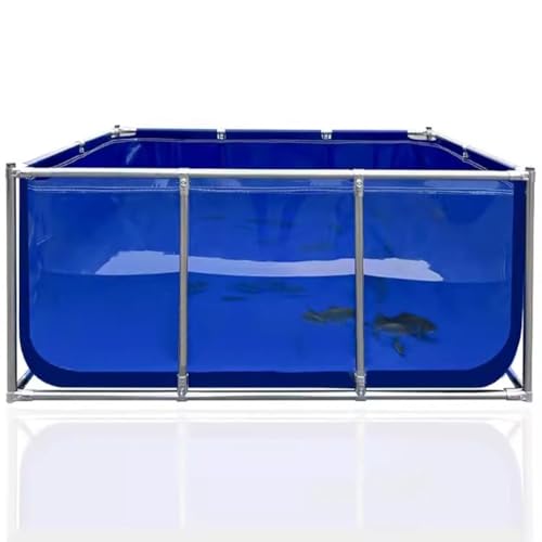 Bassin à poissons avec cadre en acier et panneau de vision transparent