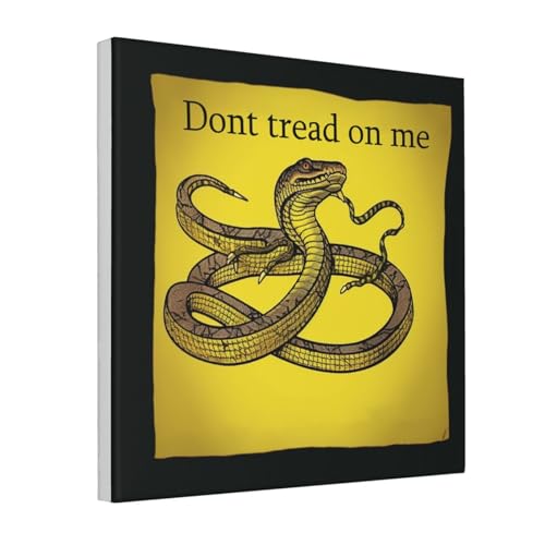 Impression sur toile Dont Tread On Me avec cadre intégré moderne de 40,6 cm