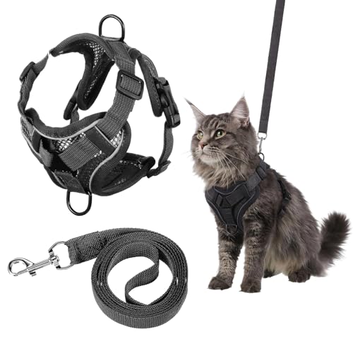 YBEATY Cat Chest Harness and Leash Set Anti-Escape Cat Walking Harness Leash Soft mesh Cats Leashes Chest Harnesses Grey Adjustable Cats Harnesses Leashes for All Types Kitten Vests Easy to Wear