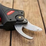 081 Store B0BXLVNHJP lato 2