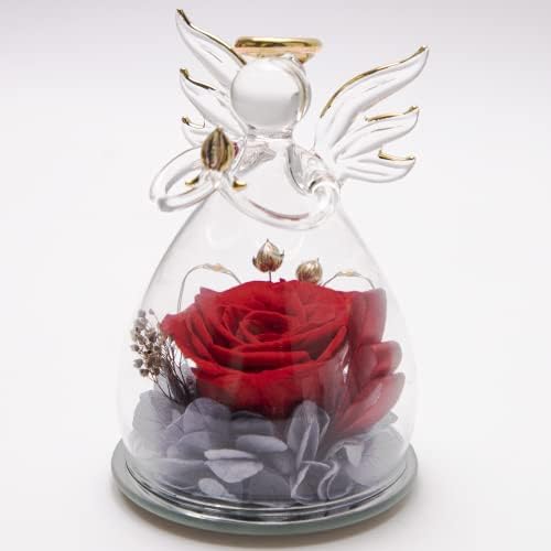 cuysfead Angel Forever Red Rose Eternal Flower Ornament In Box Glass Dome,Beauty And The Beast Real Preserved Rose For Girlfriend,Love Box Gift On Valentine Anniversary Wedding Christmas Birthday