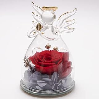 cuysfead Angel Forever Red Rose Eternal Flower Ornament In Box Glass Dome,Beauty And The Beast Real Preserved Rose For Girlfriend,Love Box Gift On Valentine Anniversary Wedding Christmas Birthday