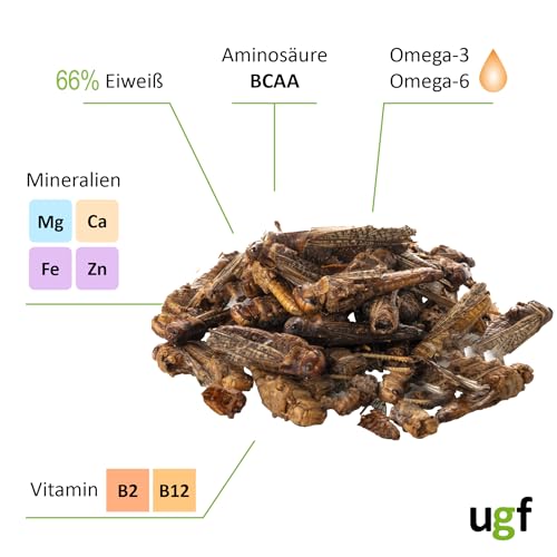 UGF - Getrocknete Heuschrecken - 65g im 500 Milliliter Eimer, Heuschrecken Insekten, Reptilienfutter, Nagetierefutter, Igelfutter, Eidechsenfutter, Vogelfutter Wildvögel Ganzjährig, Fischfutter