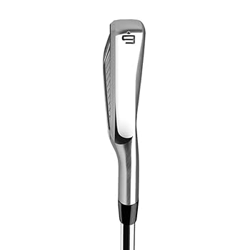 TaylorMade - しげ　テーラーメイド　P760 アイアンセット　8本 Amazon.co.jp: TAYLOR MADE(テーラーメイド) P760 アイアン