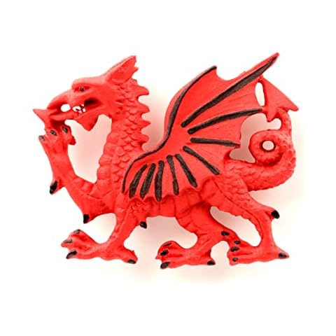 Puckator Welsh Dragon Fridge Magnet Cover