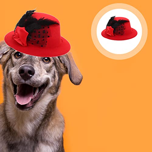 Sombrero Beavorty para perros tamaño pequeño miniatura 5