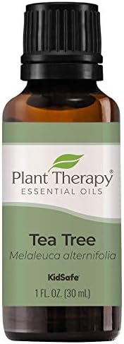 Plant Therapy Tea Tree Essential Oil 100% Pure, Undiluted, Natural Aromatherapy, Therapeutic Grade 30 mL (1 oz)