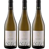 H. Lun Pinot Grigio Südtirol DOC Weisswein Weiss trocken Italien inkl. FeinWert...