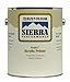 Rust-Oleum 208555 Sierra Performance Griptec 0 VOC Acrylic Primer, 1-Gallon, Flat Gray, 2-Pack