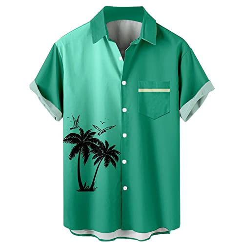 Chemise à manches courtes homme coupe confort ventre t-shirt stretch grande taille