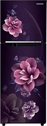 Samsung 236L 2 Star Digital Inverter Frost-Free Double Door Refrigerator Appliance (RT28C3022CR/NL,Camellia Purple