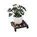 Produktbild Gfbyq Massivholzschale Standfuß Blumenständer Indoor Movable Belt Lenkrad Blumentopf Basis Blumentablett (größe : 40cm)