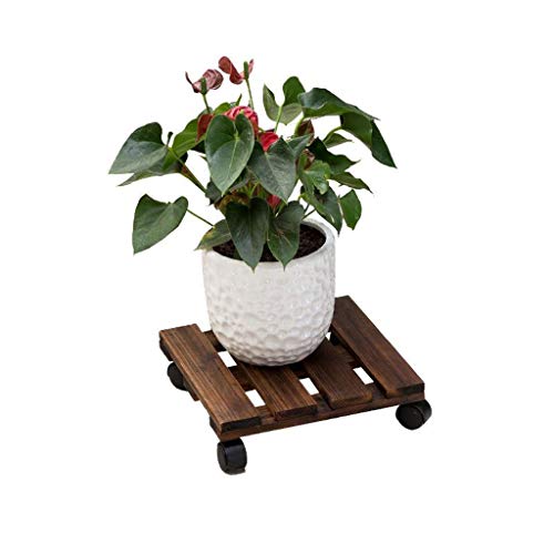 Preisvergleich Produktbild Gfbyq Massivholzschale Standfuß Blumenständer Indoor Movable Belt Lenkrad Blumentopf Basis Blumentablett (größe : 40cm)