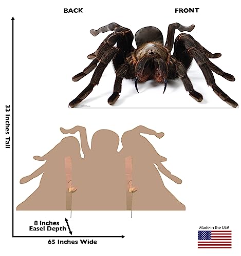 Image of Cardboard People Giant Tarantula Life Size Cardboard Cutout Standup - Made in USA