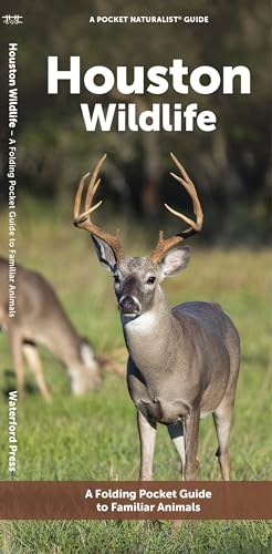 Houston Wildlife: A Folding Pocket Guide to Familiar Animals (Urban Wildlife)