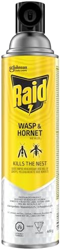 Raid Wasp & Hornet Killer Spray, Long Range Nest Killer, 400g | Kills Wasps, Hornets, Yellow Jackets On Contact, Sprays Up To 7.5M, Outdoor Use, 400G Aerosol Can - View 3