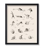 Poster Master Vintage Cat Studies For The French Journal Poster - Retro Cats Print - Cute Cat Design - Animal Lover Art - Humorous Artwork - Great Office or Living Room Wall Decor - 8x10 UNFRAMED