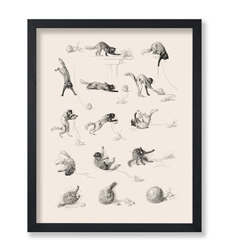 Poster Master Vintage Cat Studies