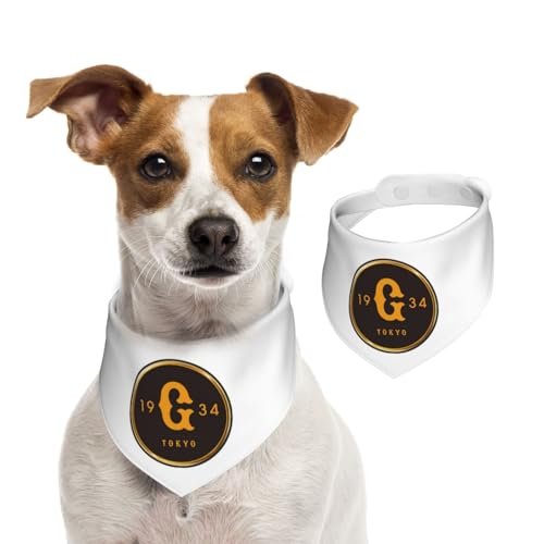 ybgo_i ǔWCAc ybgpt^I p Lp OpXJ[t ̎ K lN^C ȒPE TCY\ @ U Hp 􂢉  킢 ybgpi ANZT[ a v[g