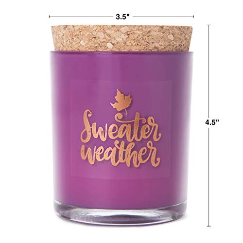 Bougie parfumée Colonial Candle vanille orchidée violette 270 ml - 3