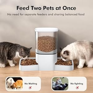 6L Automatic Cat Feeder for 2 Cats, APP Control, Precise Portion Control — photo 2 of 6