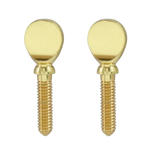 Piutouyar 2 Pcs Golden Sax Neck Screw, Tightening Attach Screw Musical Instrument Replacement Fixing Parts for Saxophone Clarinet