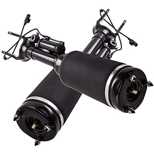 Borsa sospensione pneumatica posteriore Per Mercedes R W251 V251
