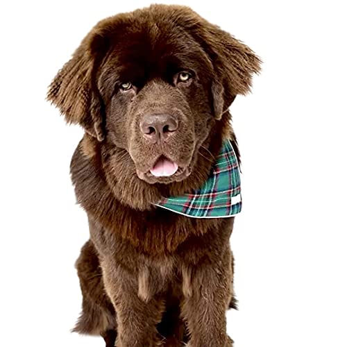 Christmas Dog Bandana In Tartan Plaid - Holiday Cozy Green Flannel Plaid Pet Bandana. Cute Dog Accessory For Fall And Winter For Large Medium And Small Dogs. #TOP1