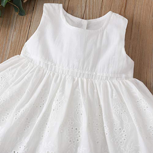 Toddler Baby Girls Dress Embroideries Floral Summer Seaside Beach Sundress Onepiece Outfits (White Princess Dress, 9-12 Months) #TOP3