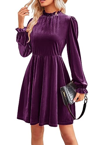 Jayscreate women's velvet dress with elastic waist long sleeves