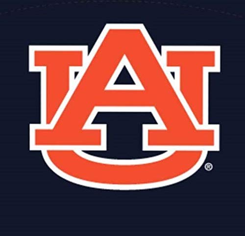 Auburn Tigers Youth Face Mask