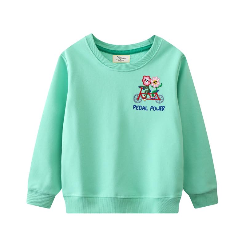 Baby Girls Hoodie With Flower Embroidery Round Neck Long Sleeve Base Shirt Autumn Loose Pullover Top (Green,90/18-24 M,Unisex,Big Kid,US,Age,18 Months,24 Months)
