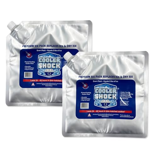 津田商会 クーラーショック COOLER SHOCK 保冷剤 【Mサイズ/2個セット】 長時間保冷 強力 氷より冷たい-7.8℃ 繰り返し使用可能 キャンプ バーベキュー 釣り アウトドア お買い物 クーラーボックス 防災グッズ