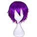 S-noilite Women Men Short Straight Cosplay Wigs Fluffy Hair Tail Anime Party Costume Dress Synthetic Full Wig Oblique Bangs(Purple)