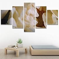 SIGNWIN 5 Panel Canvas Wall Art Yellow Petal for Home Decorations Ready to Hang - 60