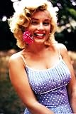 BUY ART FOR LESS Officially Licensed Marilyn Monroe - Flower Overlay Art Poster - 24 x 36 Inch - Decorative Print - Poster Paper - Ready to Frame
